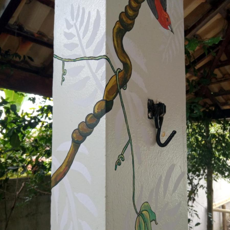 Pousada Tropicalia 帕拉蒂 外观 照片